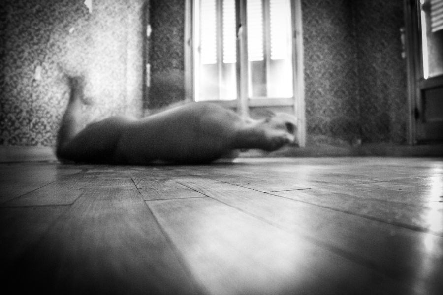 transparences_damien_-25