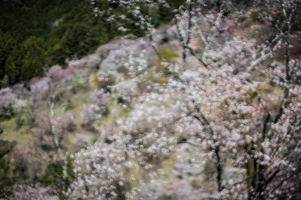 photographie peinture marie-rose gilles saint martin  d'uriage paysage japon japan