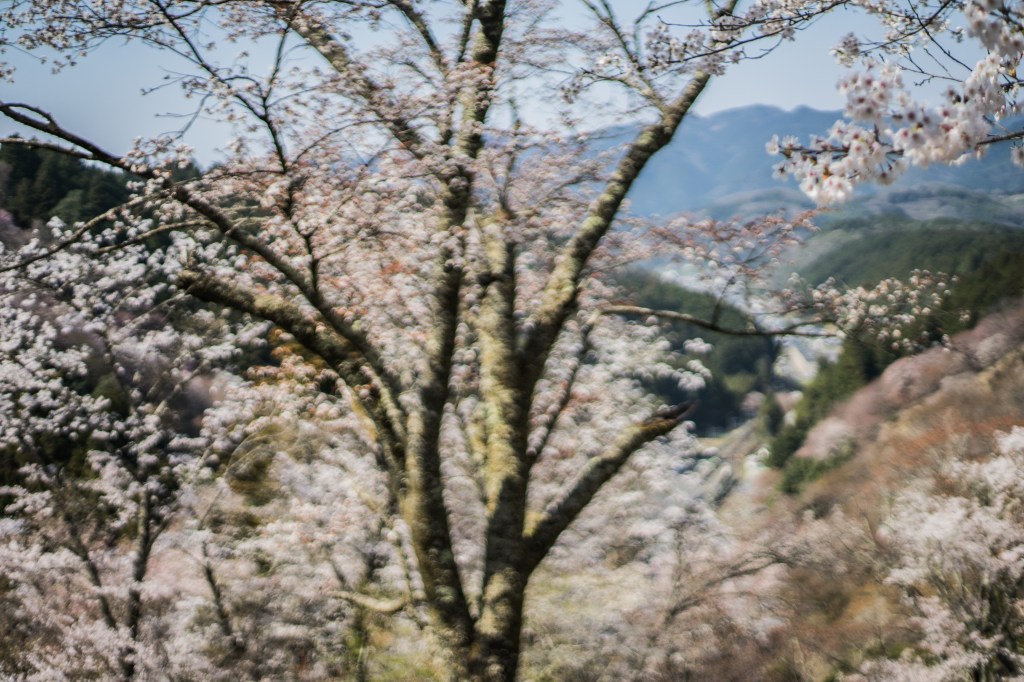 photographie peinture marie-rose gilles saint martin  d'uriage paysage japon japan